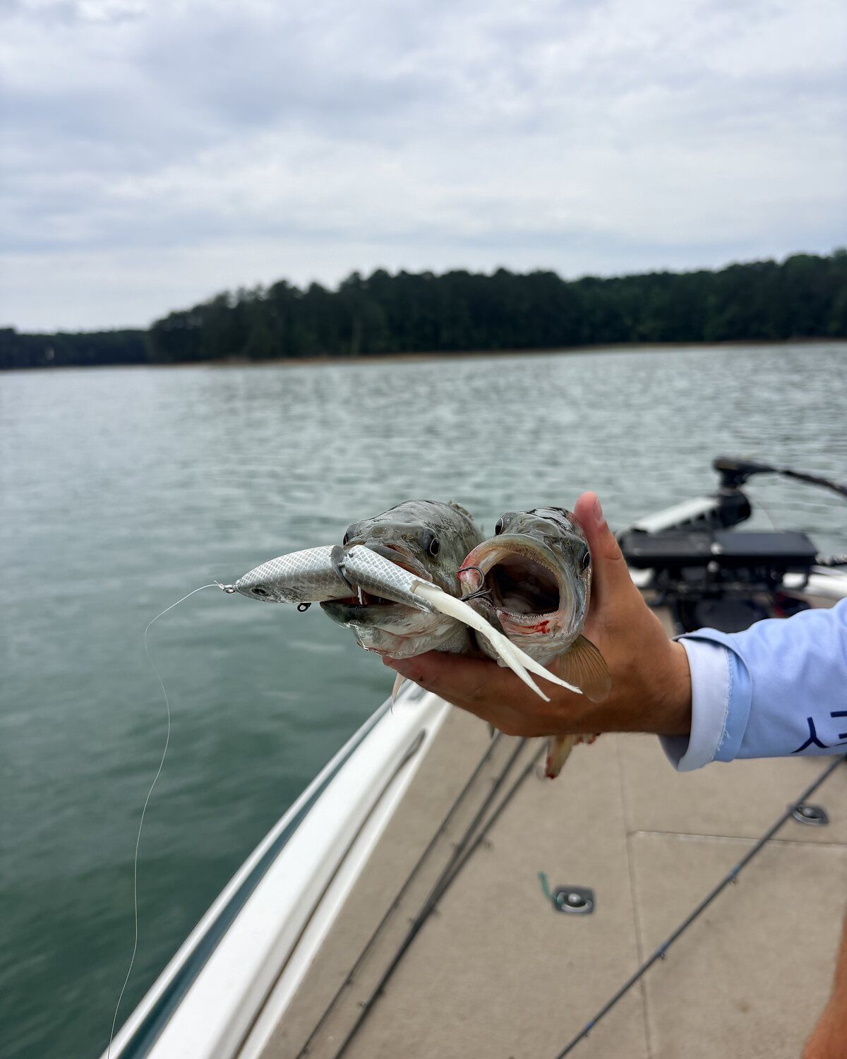 Two largemouth bass caught on one Cabretta Kidd swimbait, held over a lake from a bass boat